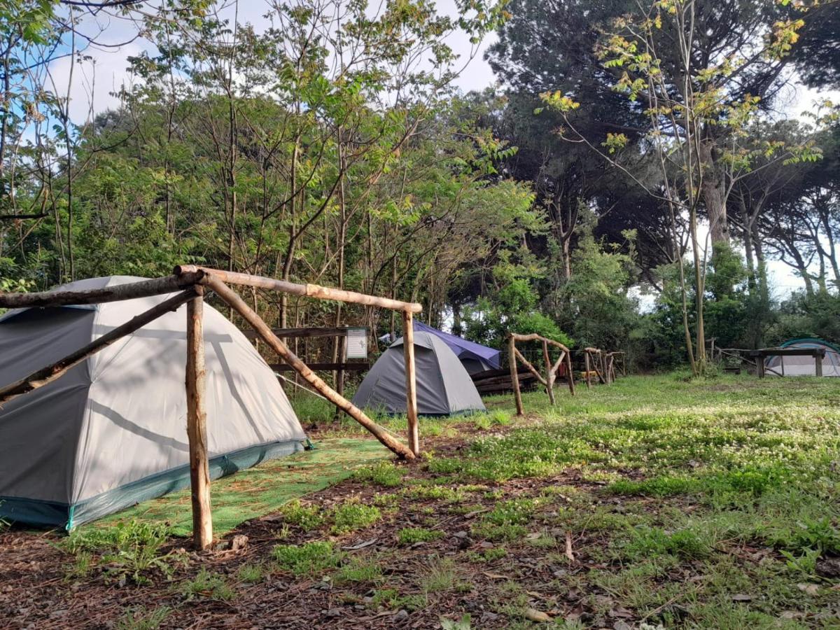 Camping Brandito's *